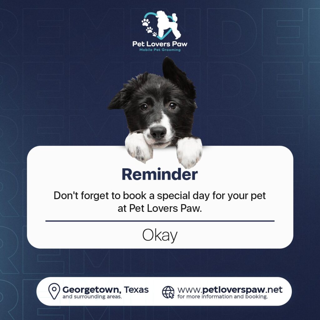 Instagram post from petloverspawgrooming. This post is in position 7.