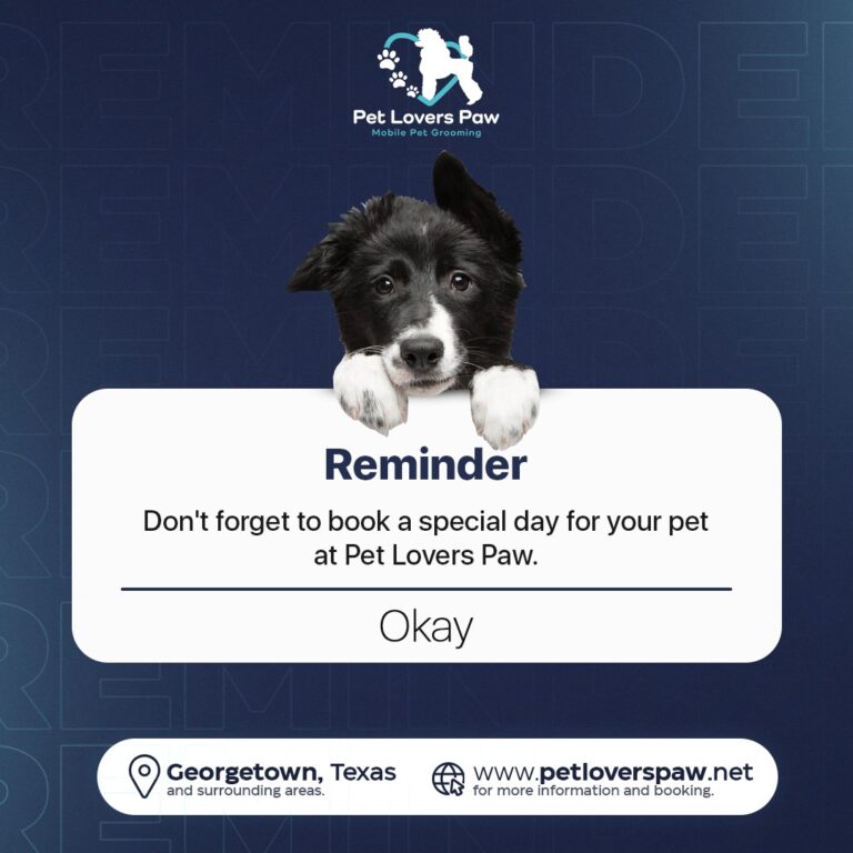 Instagram post from petloverspawgrooming. This post is in position 8.