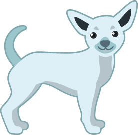 Little Dog Grooming in Round Rock Texas by Pet Lovers Paw