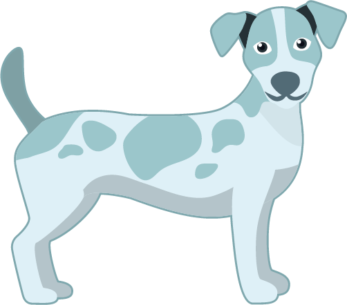 Medium Dog Grooming in Round Rock Texas by Pet Lovers Paw